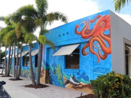 Focus Murals